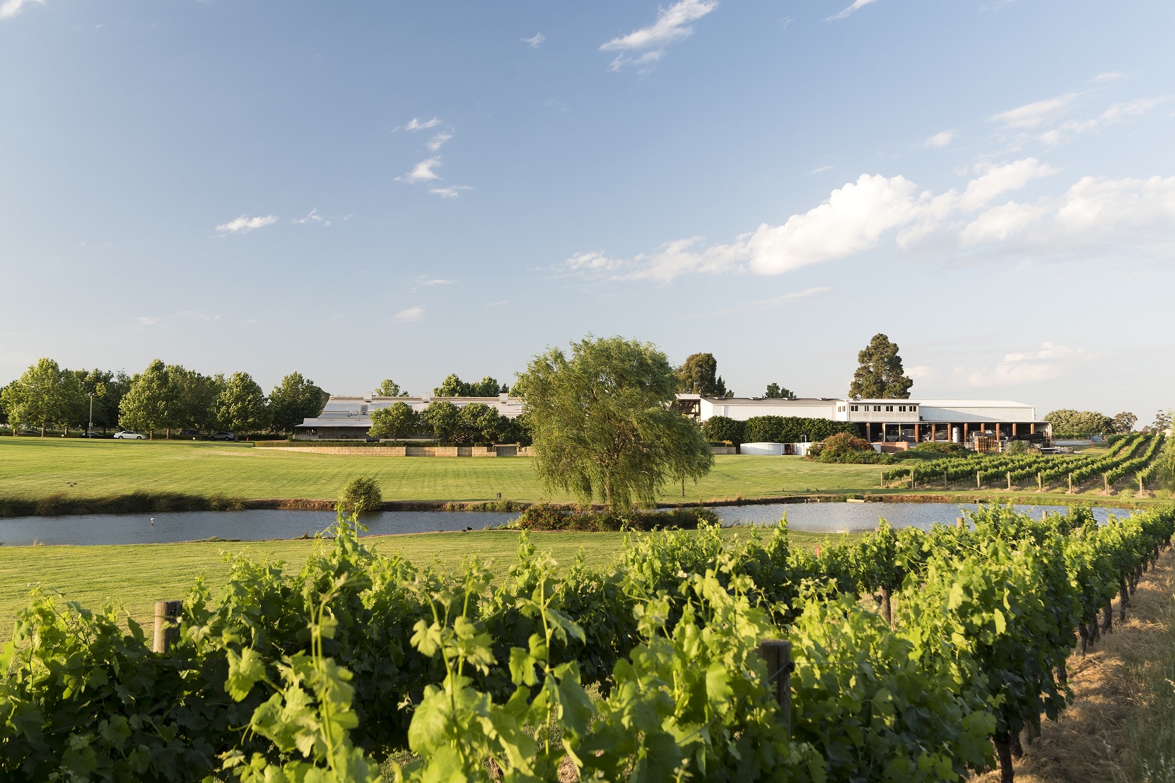 Sandalford Wines 11
